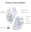 urgreen souris Vertical Wireless white MU008 45759