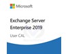 Exchange Server Enterprise 2019 User CAL DG7GMGF0F4MD:0004