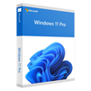 Windows 11 Professionnel 64 bits Français 1pk DSP OEI DVD