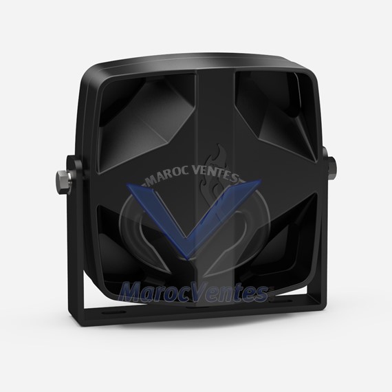 Haut-parleur VANGUARD 100W S-1019