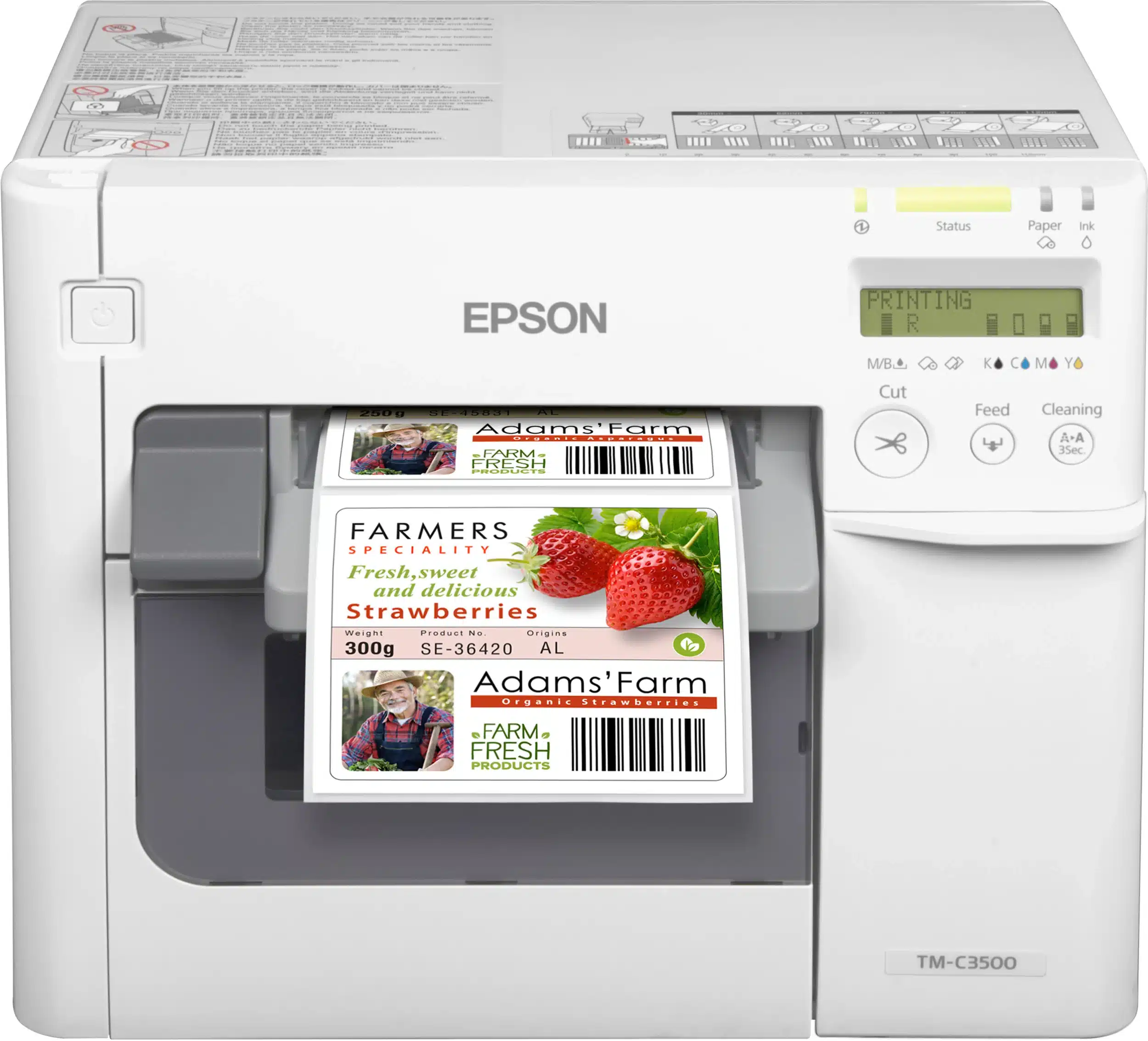 EPSON Imprimante à ticket, ColorWorks C3500(012CD) (incl. NiceLabel CD) C31CD54012CD