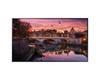 Écran professionnel 4K 86" 3840x2160 HDMI VGA USB 24h/7j LH-86QM1KD